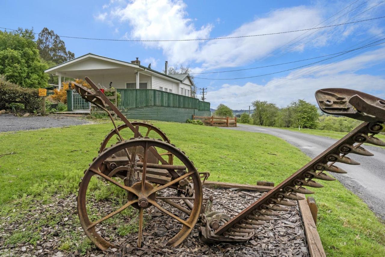 Mole Creek Cabins Kültér fotó