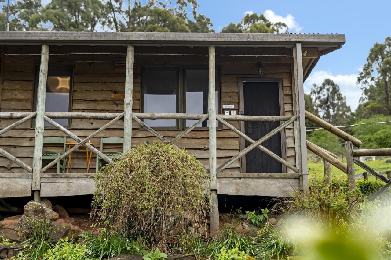 Mole Creek Cabins Kültér fotó