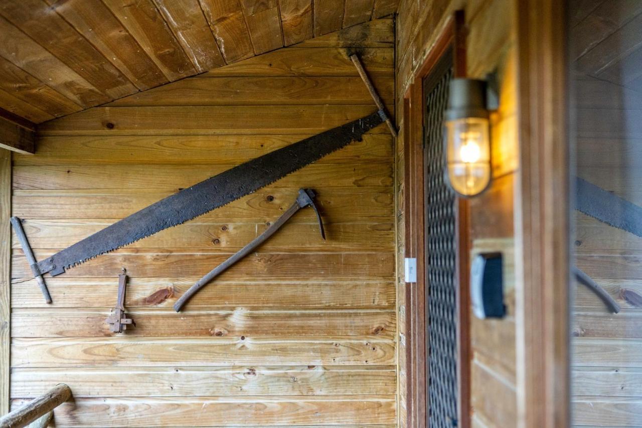 Mole Creek Cabins Kültér fotó