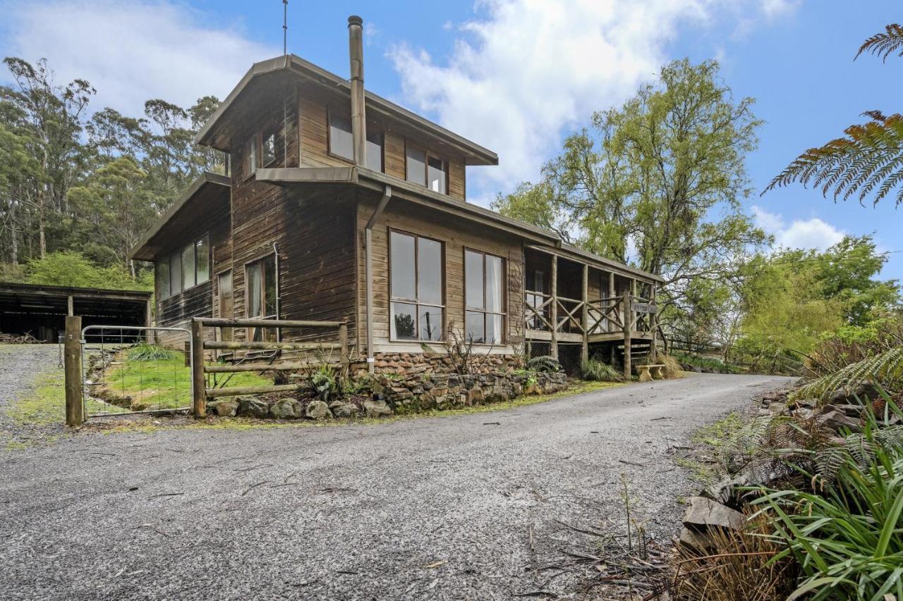 Mole Creek Cabins Kültér fotó